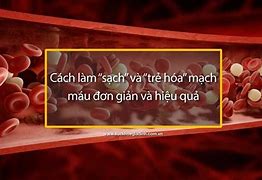 Cách Làm Sạch Mạch Máu Bằng Dân Gian