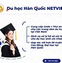 Chi Phí Du Học Hàn Quốc 2022 Là Gì Ạ Không