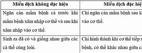 Phù Không Đặc Hiệu