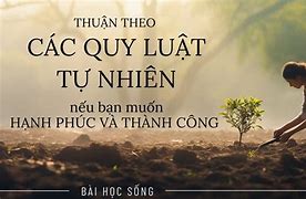 Quy Luật Của Tự Nhiên Tiếng Anh Là Gì