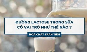 Sữa Có Lactose